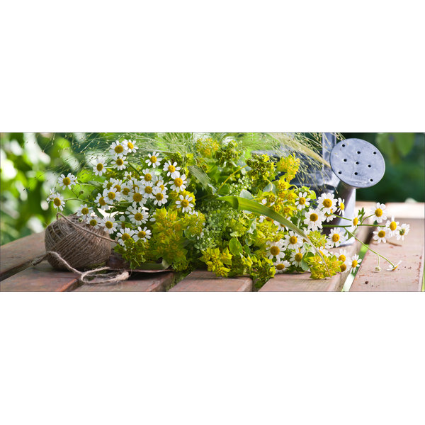 Brambly Cottage Glasbild Vitamine Vibe in Grün Wayfair.de